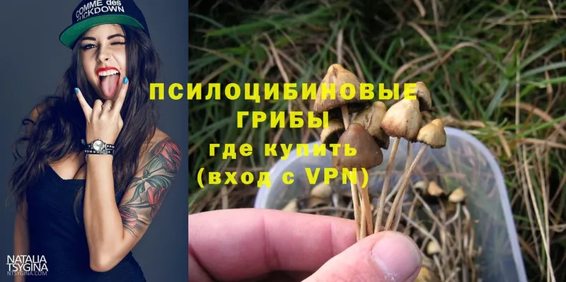 Галлюциногенные грибы Magic Shrooms  darknet наркотические препараты  Клинцы 